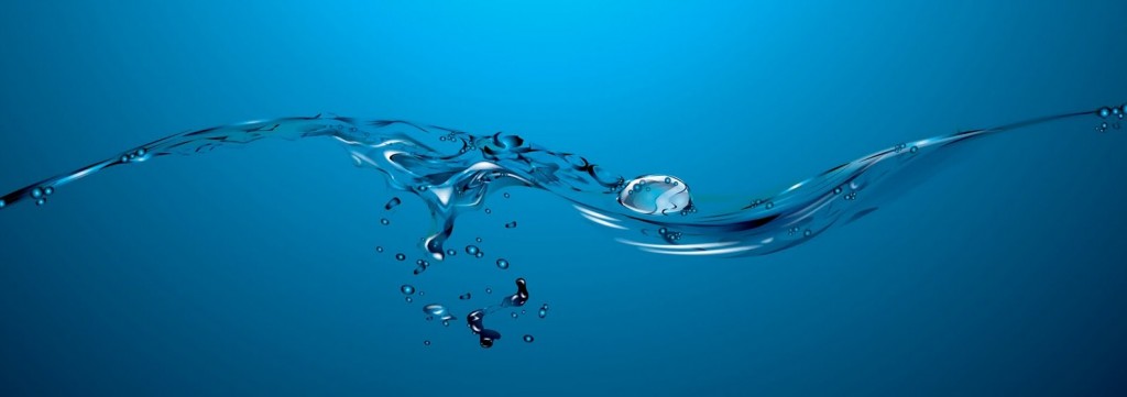 Water Movement
